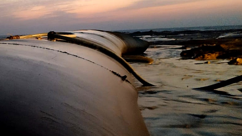 Coastal Protection & Shoreline Management